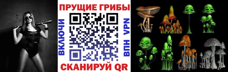 Псилоцибиновые грибы Psilocybine cubensis  Купить  Иркутск 